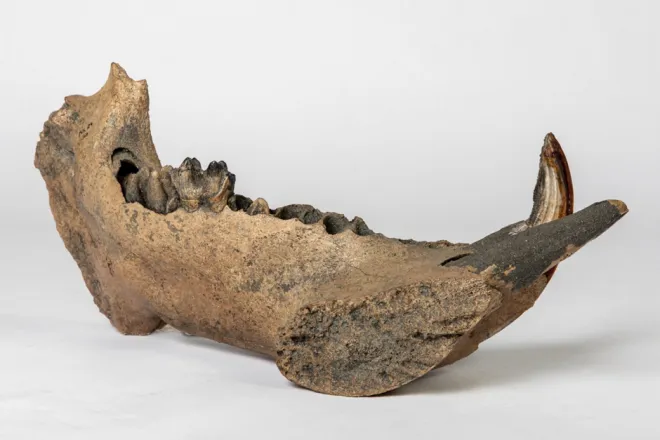 Credit: Rebecca Kind