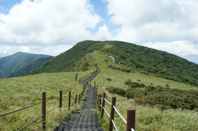 진소백산 주봉 비로봉으로 향하는 능선길. 국립공원공단