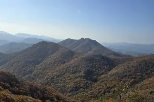 붉은 물결이 산을 덮다, 내장산 가을 단풍