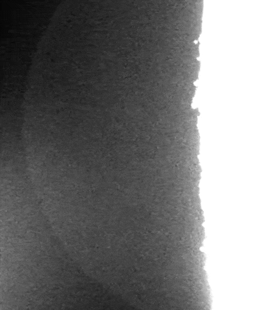 引用:藤井大地氏が撮影した映像