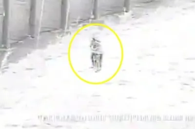 thumbnail - 화염병 던졌다고 ‘탕탕’…이스라엘군, 16세 청소년 2명 사살 (영상)