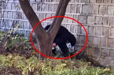 thumbnail - 中관광객이 경복궁 앞에서 ‘대변 테러’…대체 왜 이러나 분석해보니