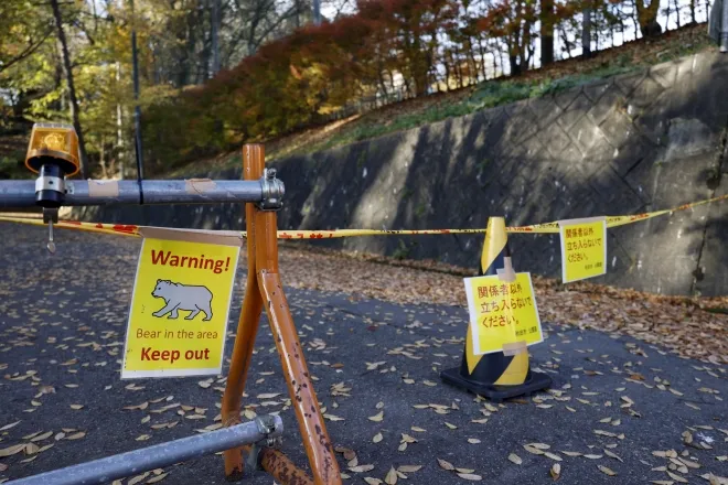 곰 출몰 경고 표지판이 설치된 일본 아키타현 센슈공원 모습. 2025년 11월 13일, 전국적으로 곰 습격 사망자가 올해만 13명으로 역대 최다를 기록한 가운데 일본 경찰은 소총을 사용한 ‘곰 퇴치 기동대’ 운영을 시작했다. EPA 연합뉴스