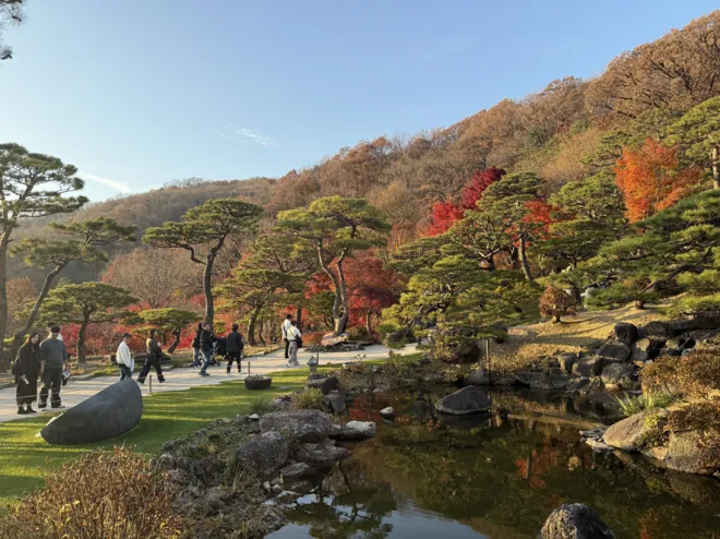 화담숲 중앙 정원 구간. 단풍과 소나무가 조화를 이루는 산책길과 연못 주변으로 방문객들의 발걸음이 이어진다.