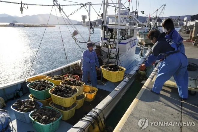 일본 수산물 자료사진 EPA 연합뉴스