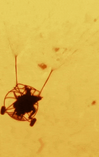 앤드루 매카시가 수소-알파(Hα) 파장으로 촬영한 점프 순간 영상. 동력 패러글라이더가 태양 대기 앞을 스쳐 지나가는 장면이 실루엣으로 포착됐다. 앤드루 매카시 엑스