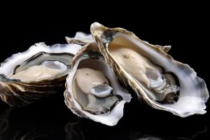 ‘일본 굴 80% 폐사’ 초유의 사태 발생…원인 알고보니