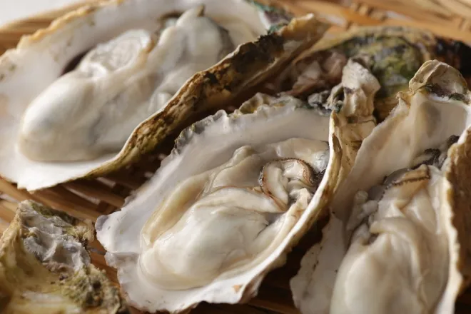 굴 자료사진. 123rf.com