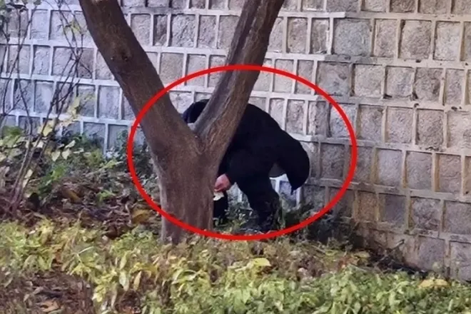 지난달 10일 오후 경복궁 돌담길 아래에서 용변 본 남성이 경찰의 제지를 받았다. 서경덕 서울여대 교수는 해당 남성이 70대 중국인 관광객이라고 밝혔다. SNS 캡처