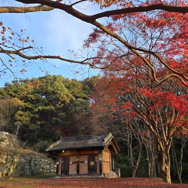 모악산 가을 풍경