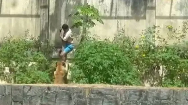 제르손 지 멜루 마샤두가 지난달 30일 브라질의 한 동물원에서 암사자 우리에 침입하는 모습. X 캡처