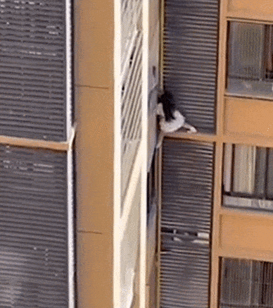 중국 광둥성의 한 아파트 외벽에서 여성이 배수관을 붙잡고 아래층으로 미끄러져 내려가고 있다. 주민이 촬영한 영상이 온라인에 퍼지며 ‘아찔한 불륜 탈출극’으로 화제를 모았다.