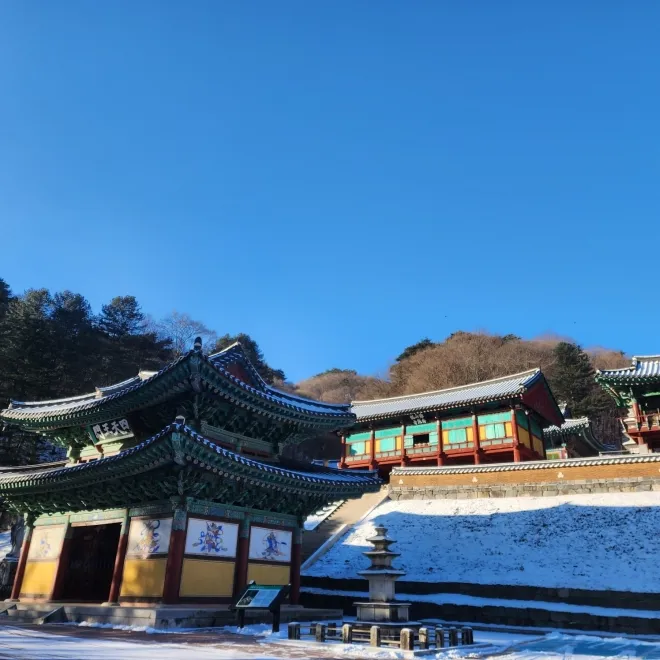 천년고찰 구룡사