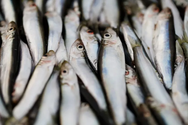 해산물 자료사진. 기사와 관계 없음. 123rf.com