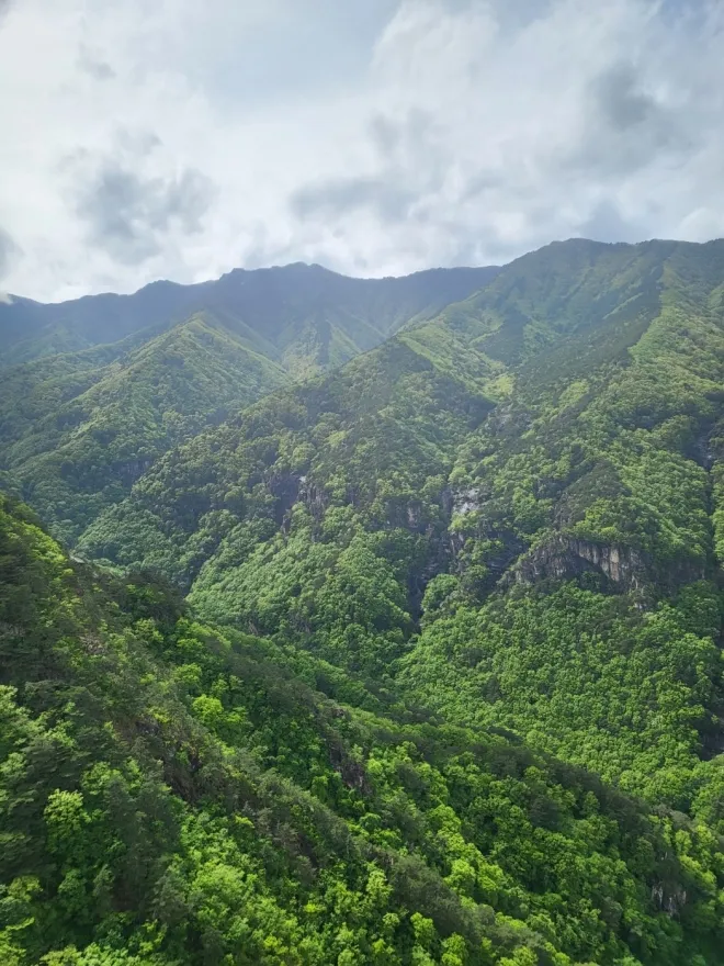 두타산의 입체적인 모습의 풍경