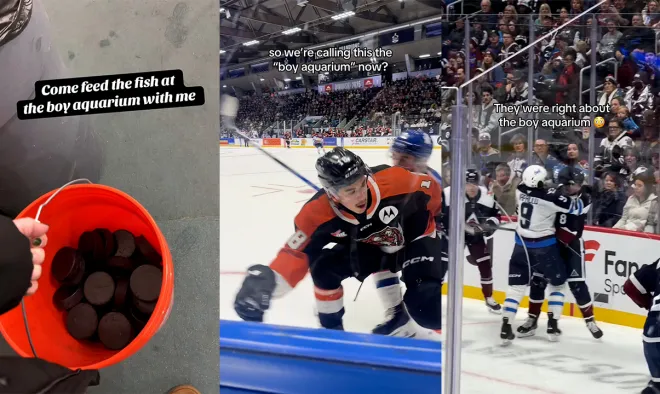 틱톡 aupuck, monctonwildcats, eventticketscenter 캡처