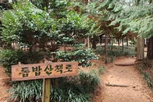 숲길을 걷고, 나무를 만지고, 몸과 마음을 쉬게 하는 공간,