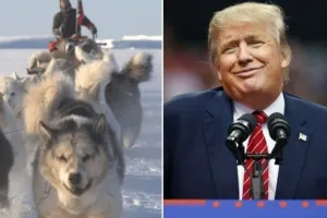 트럼프 “덴마크, 그린란드 안보 위해 ‘개썰매 한 대’ 추가