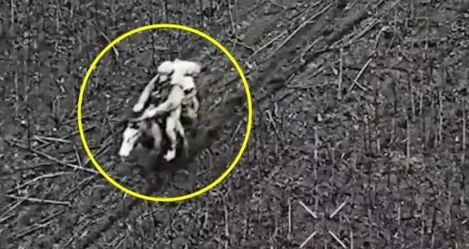 전장에서 말 타고 이동하는 러시아군 병사 모습. 영상 캡처