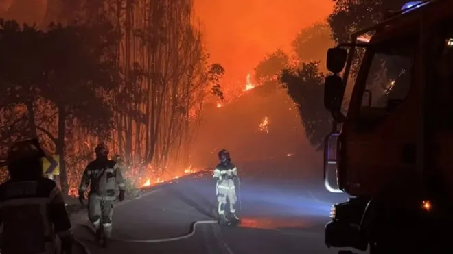 사진=칠레 코로넬에서 산불진화대원이 낸 산불을 잡기 위해 소방대원들이 진화작업을 하고 있다. 라콰르타 캡처