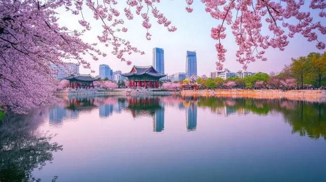 서울 도심의 대표 벚꽃 명소인 석촌호수 일대. 최근에는 서울숲 등 인근 명소를 함께 둘러보는 벚꽃 투어도 늘고 있다. 123rf