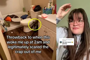 ‘새로운 공포가 열렸다’…변기 뚫고 나온 괴생물체 정체