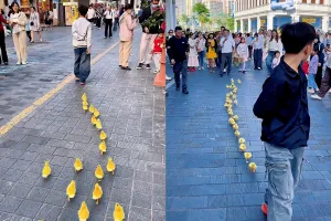 중국 도심 길거리에 등장한 ‘오리 행렬’ 정체