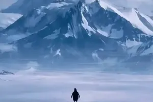 왜 사람들은 혼자 산으로 걸어간 펭귄에 열광할까?