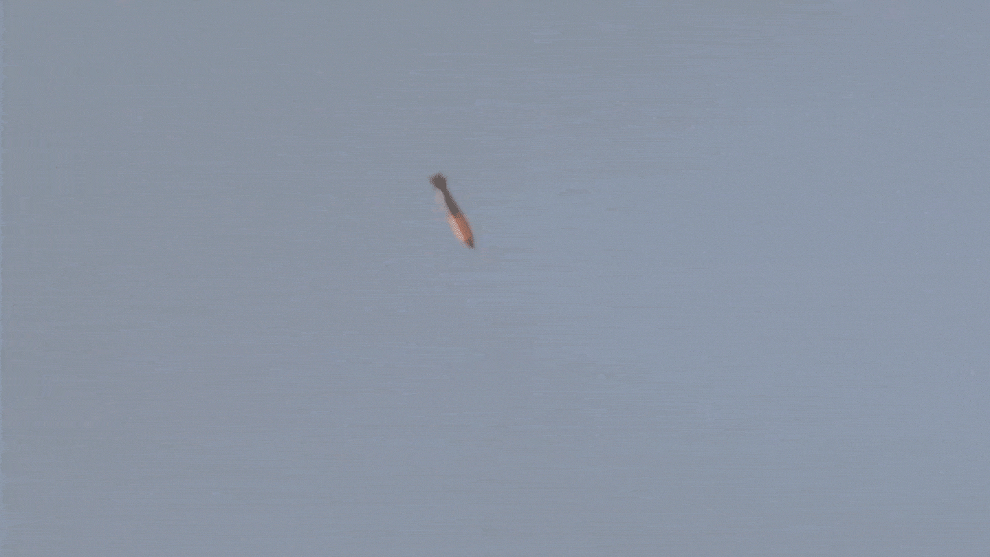 미 공군 F-35A에서 투하된 B61-12 전술핵폭탄이 자유 낙하 단계 이후 유도·추진 구간으로 전환되는 시험 장면. 실제 폭발이 없는 통합·비행 성능 검증 절차다. 샌디아 국립연구소 제공