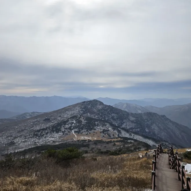 천황산에서 재약산으로 향하는 사자평의 모습