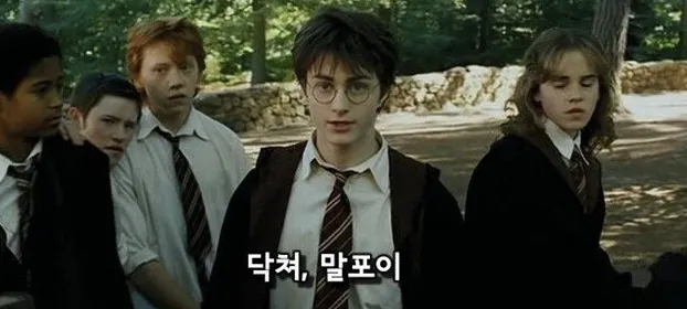 영화 해리포터 속 명장면