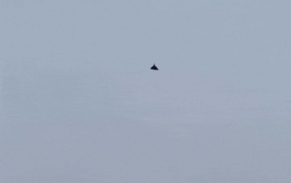 우크라이나 공군이 공개한 영상의 일부