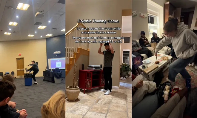 thumbnail - 요즘 유행하는 ‘돌고래 훈련 챌린지’