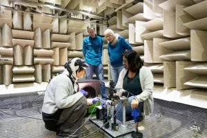 귀 없는 애벌레, ‘이것’으로 소리 듣는다