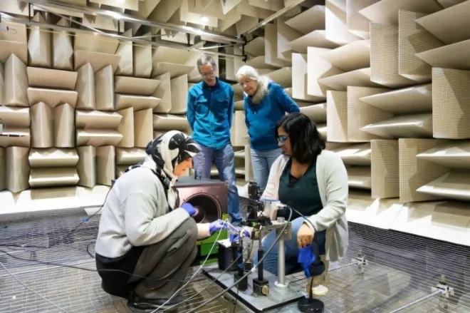 thumbnail - 귀 없는 애벌레, ‘이것’으로 소리 듣는다