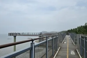 서천갯벌과 곰솔숲이 빚어낸 생명의 풍경, 서천 장항송림