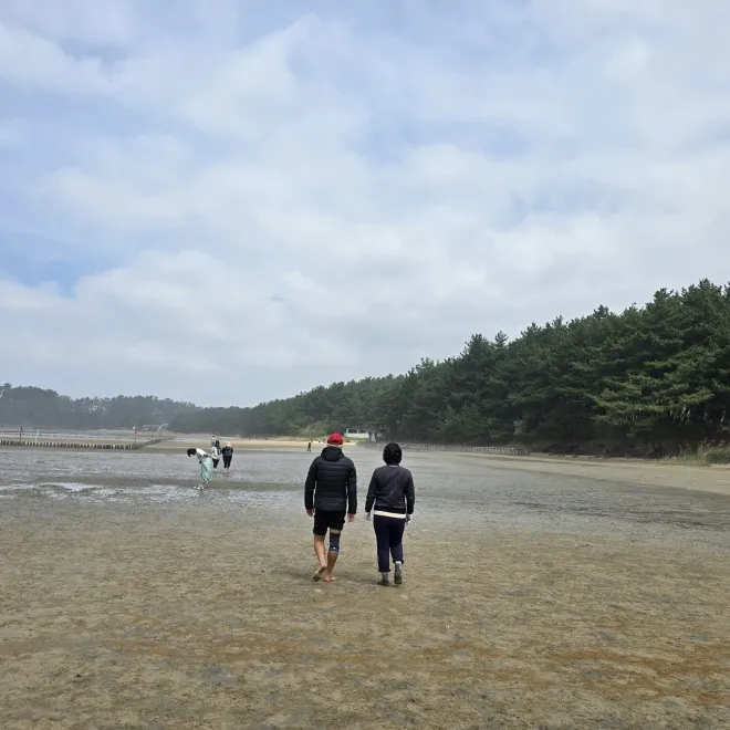 서천갯벌을 맨발로 걷는 사람들