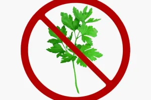 2월 24일, 오늘은 맘껏 고수를 싫어하겠어요