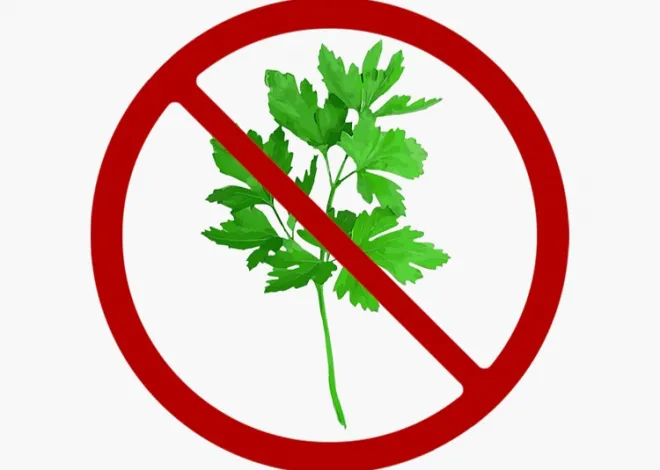 thumbnail - 2월 24일, 오늘은 맘껏 고수를 싫어하겠어요