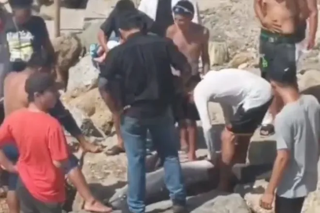 좌초한 돌고래를 학대하는 모습. SNS 캡처