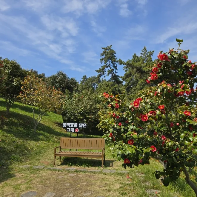 마량리 동백나무숲