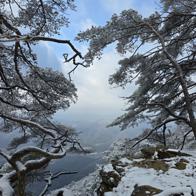 깊은 숲 위에 내려앉은 겨울의 풍경, 양평 중원산