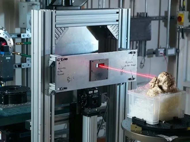 스캔 중인 리틀 풋의 두개골. Diamond Light Source