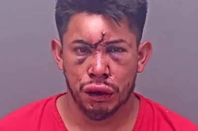 thumbnail - “엄마 목 조르자 주먹 날렸다”…13세 아들, 술 취한 아버지 KO