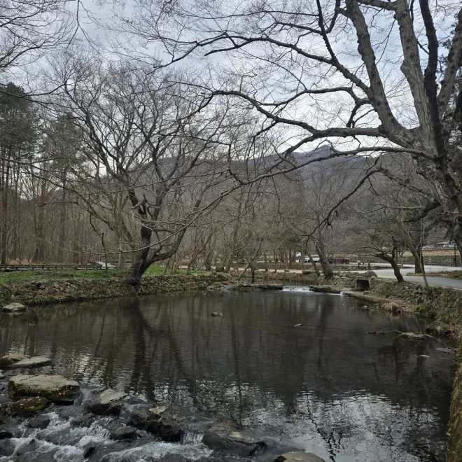 선운사 계곡