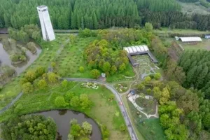 잠만 자도 60만원 준다고? 중국 ‘잠자기 대회’ 화제
