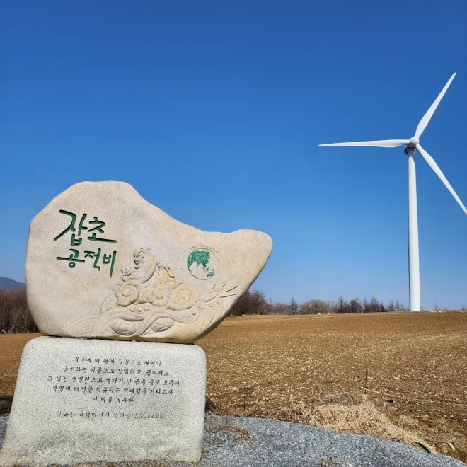 청옥산 육백마지기의 모습