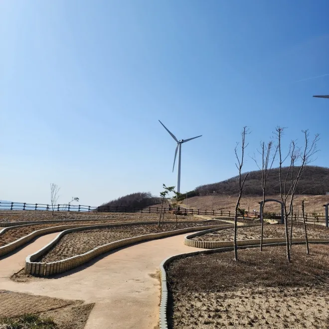 꽃단장을 준비중인 청옥산