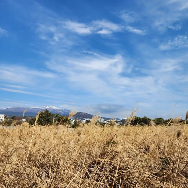 서건도에서 바라본 한라산