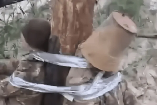 영국 일간지 데일리메일은 자체 입수한 동영상을 통해 러시아군이 자국 병사를 고문 학대하고 있다고 주장했다. 데일리메일 제공 영상 캡처